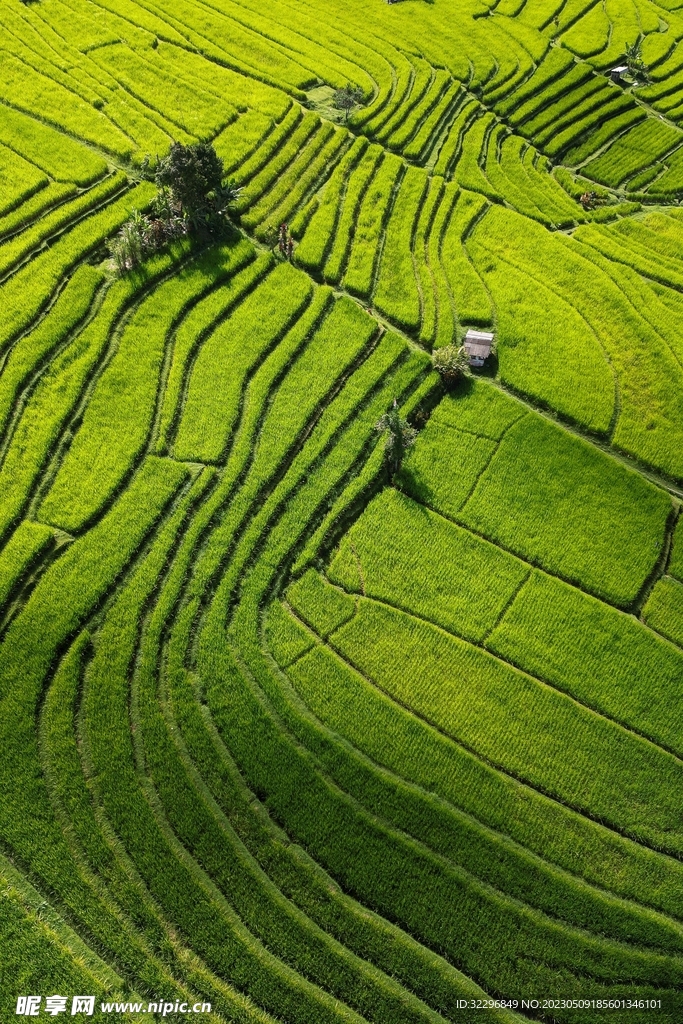 高空俯拍的绿色草坪