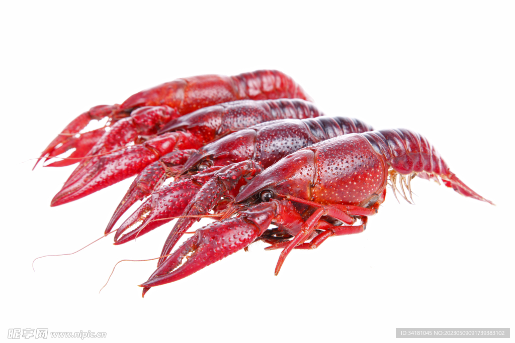 小龙虾海鲜美食