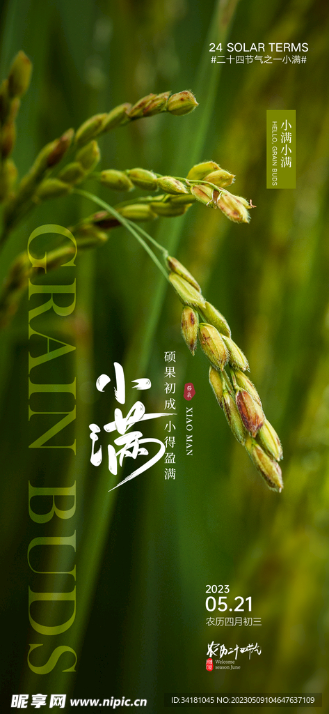 小满海报