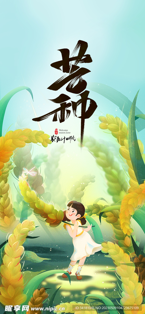 芒种海报 