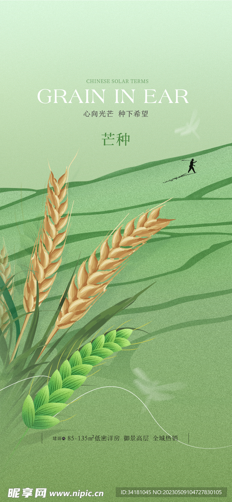 芒种海报