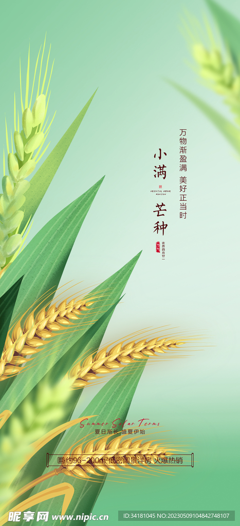 小满 芒种海报