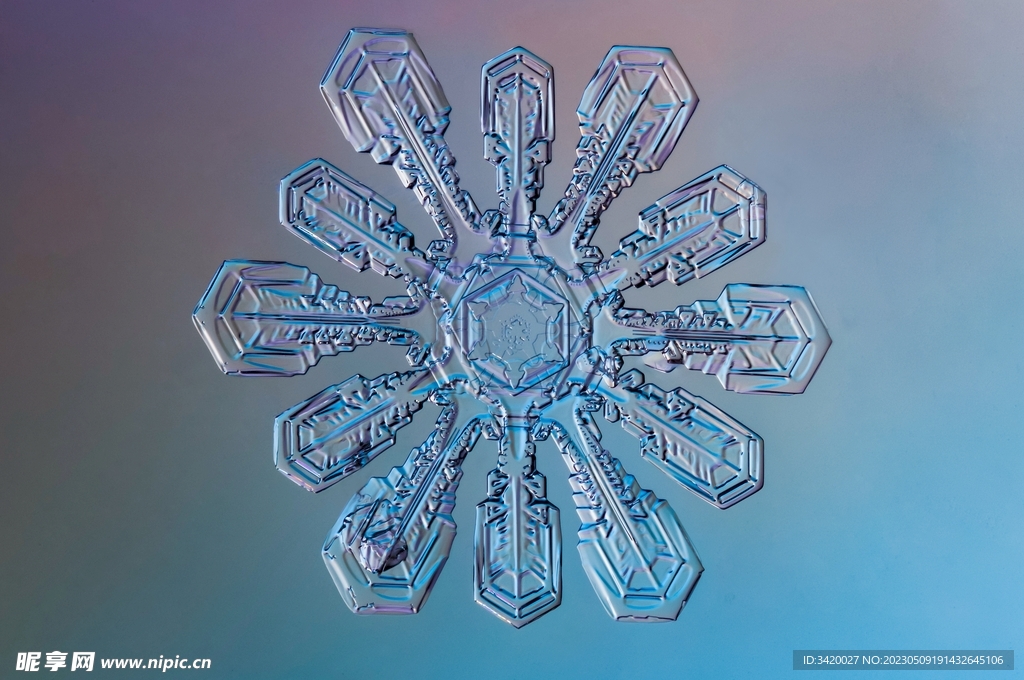 雪花
