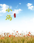 小满