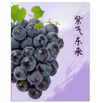 葡萄