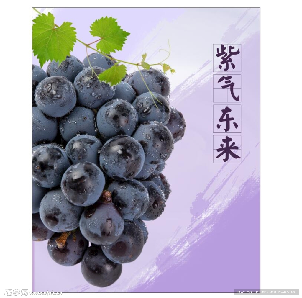 葡萄