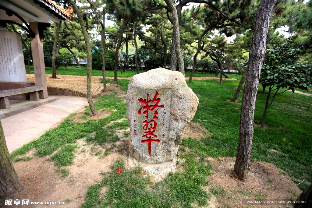 青岛 鲁迅公园