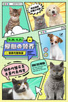 宠物领养宠物店猫咪海报