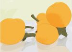 枇杷
