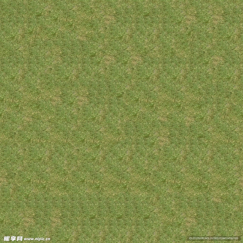草地