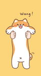 小猫