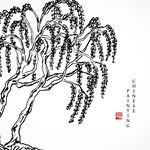 柳树