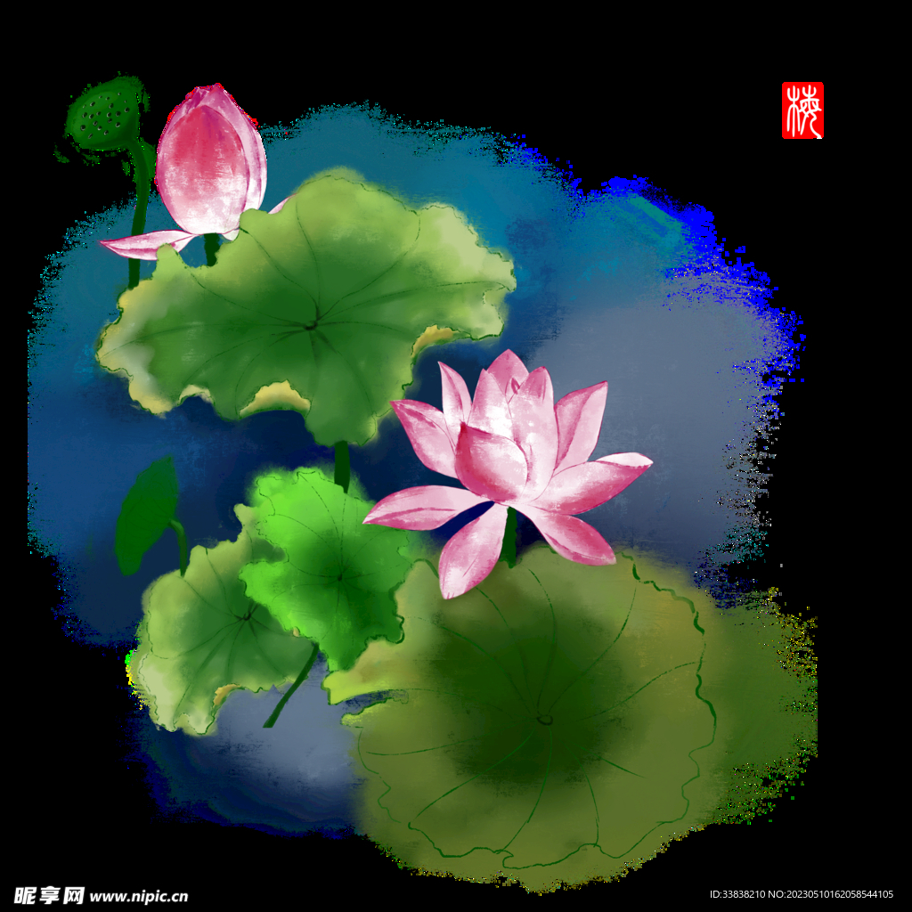 荷花