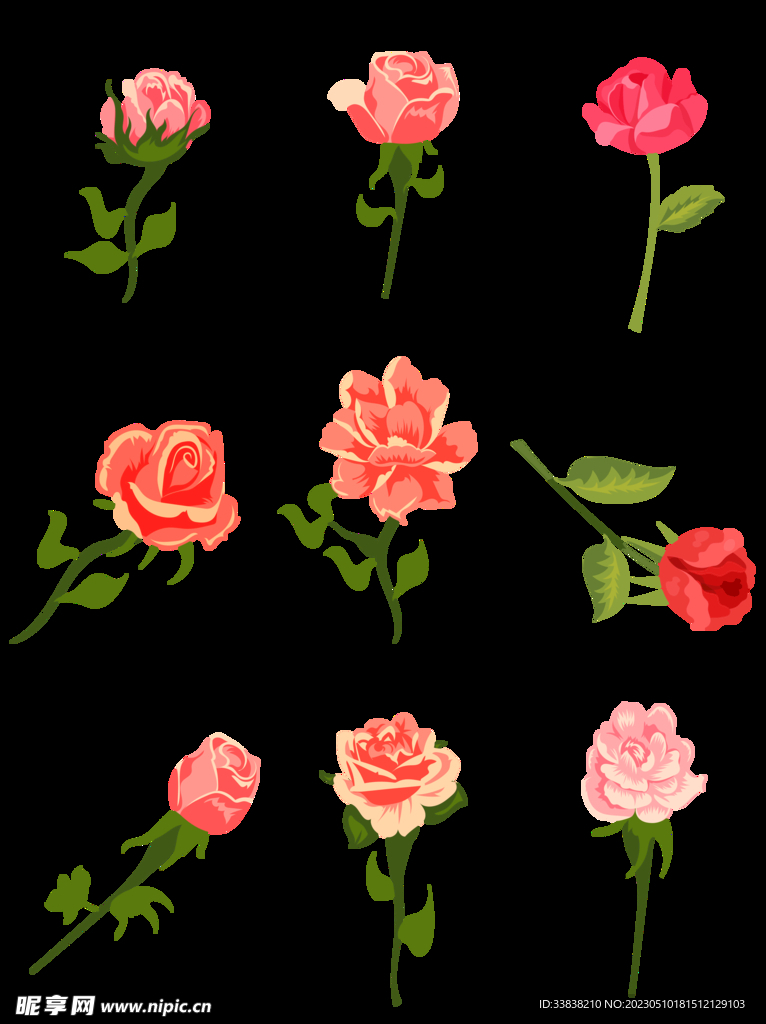 玫瑰 花