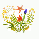 小花 