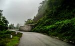 山路风光