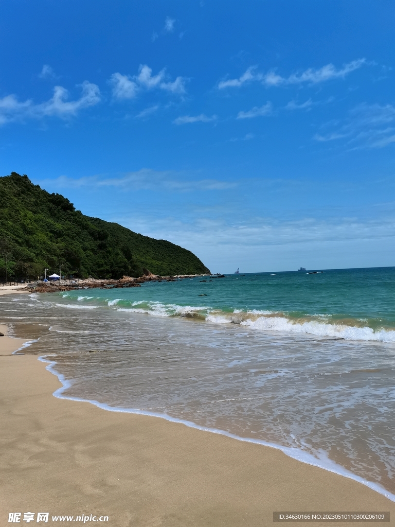 海
