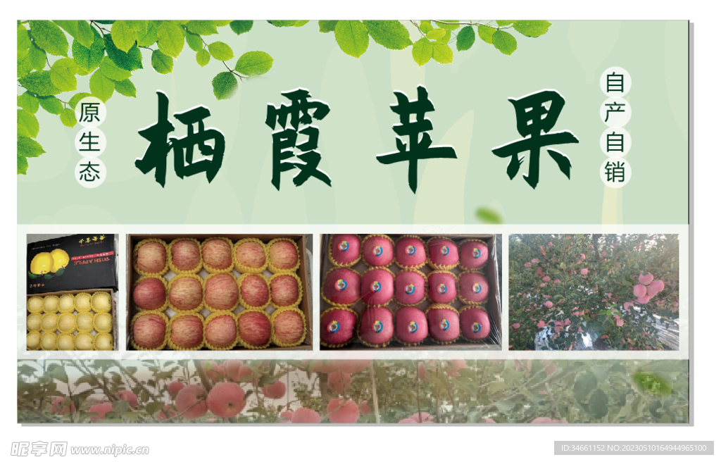苹果海报