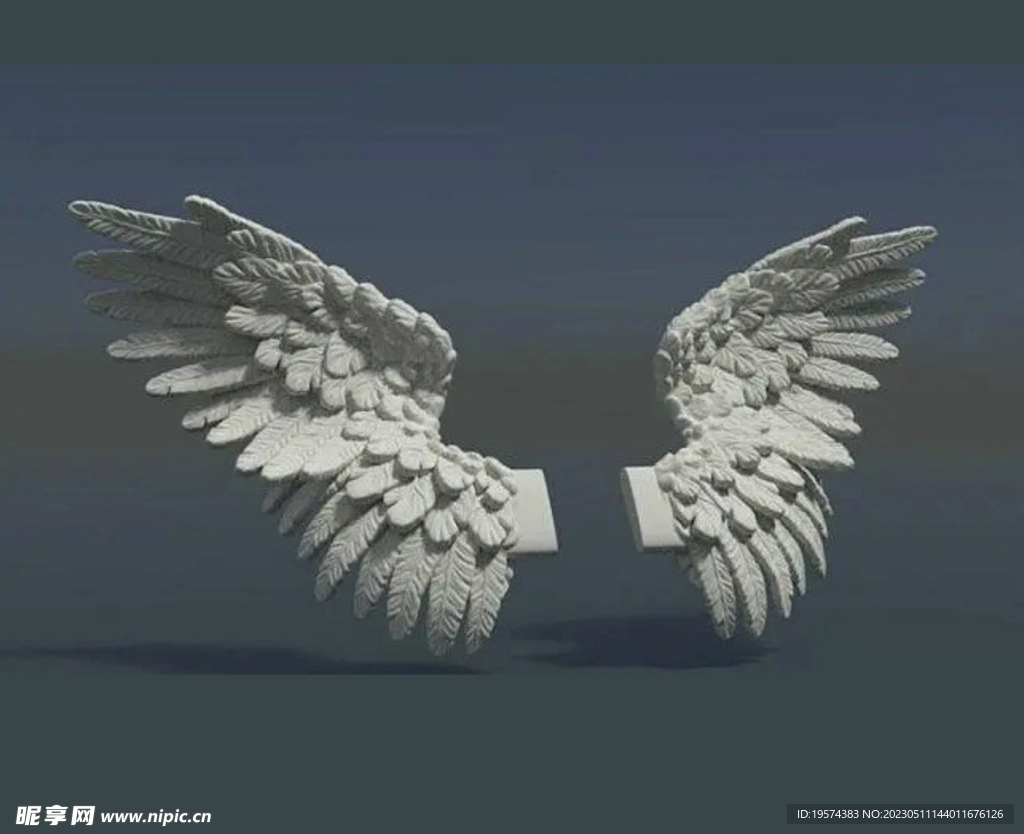 C4D模型翅膀