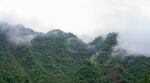 大山云雾
