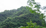 青山