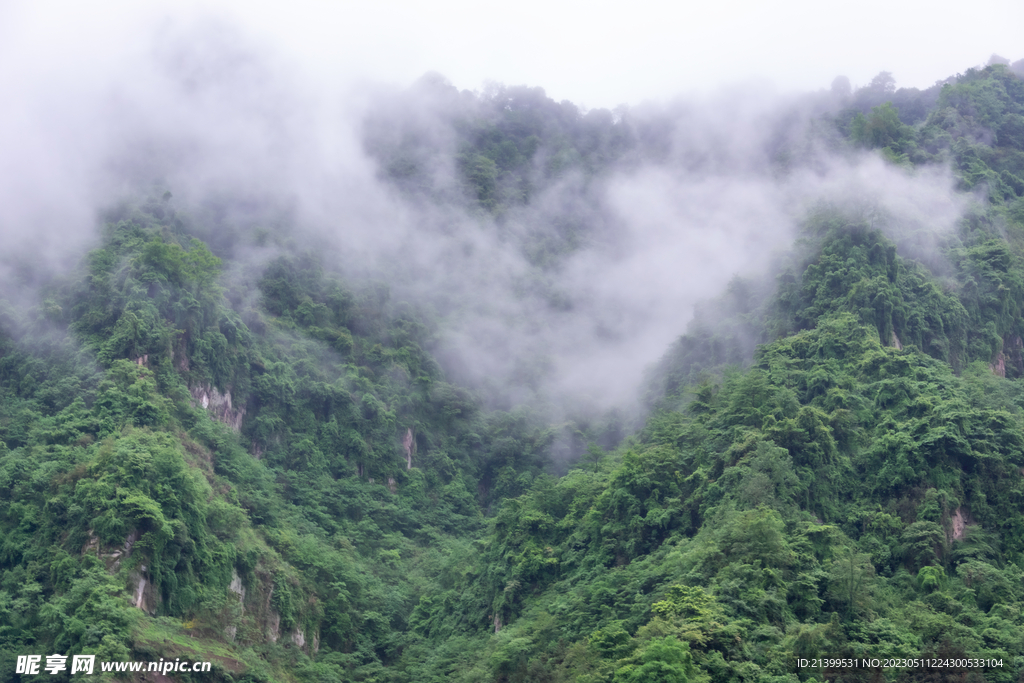 大山云雾