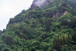 青山