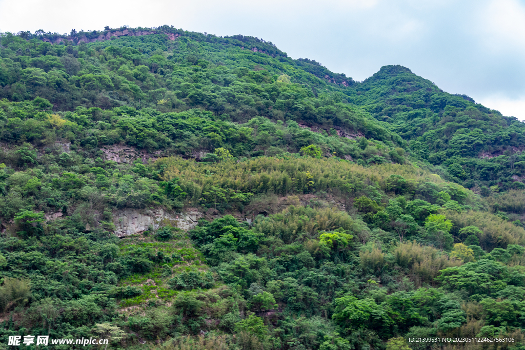 大山