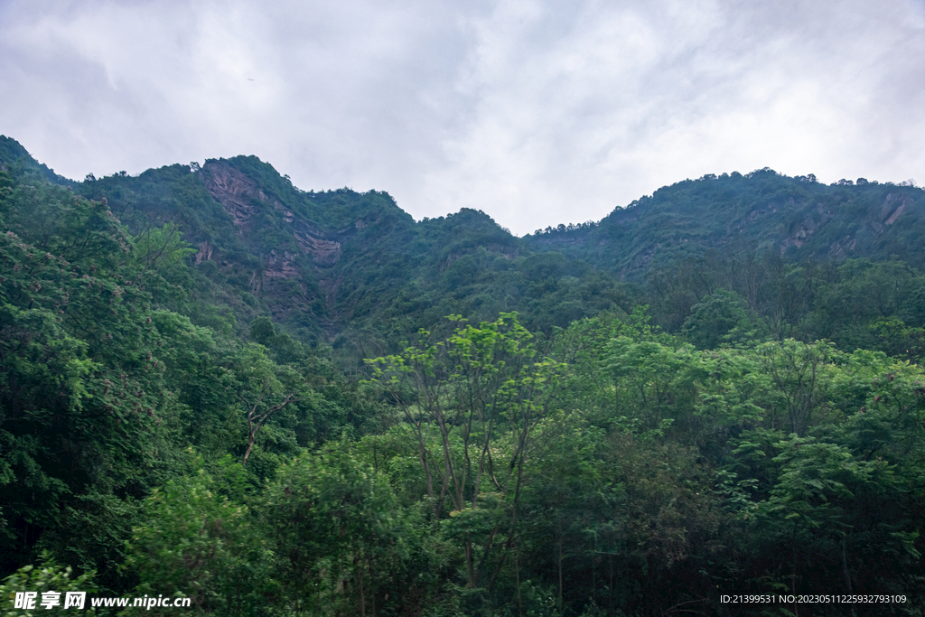 青山