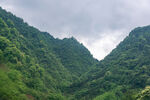 青山