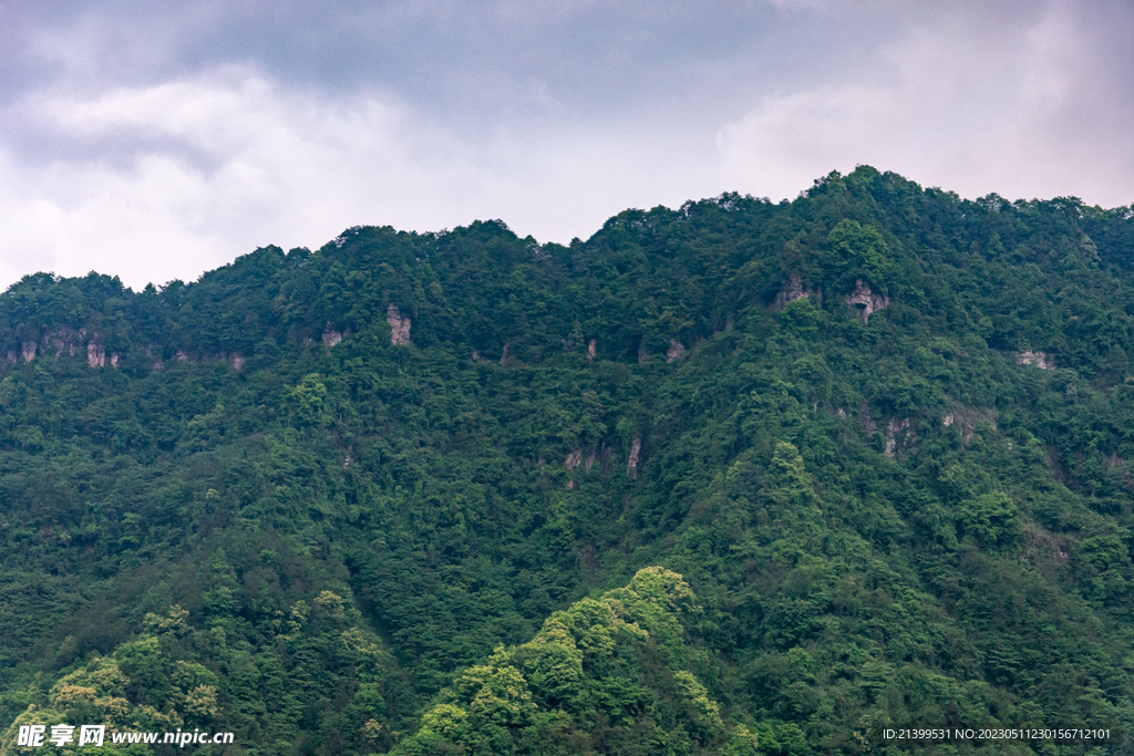 青山