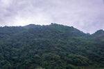 青山