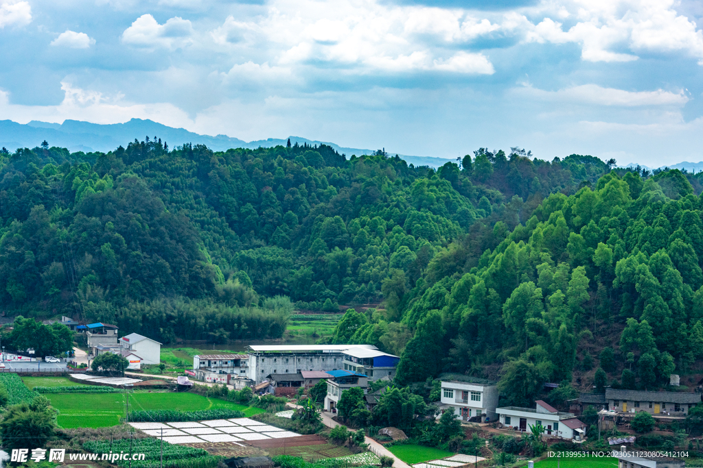 绿色山村