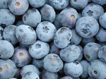蓝莓 