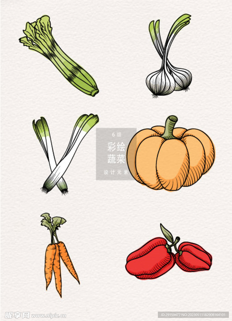 手绘蔬菜 