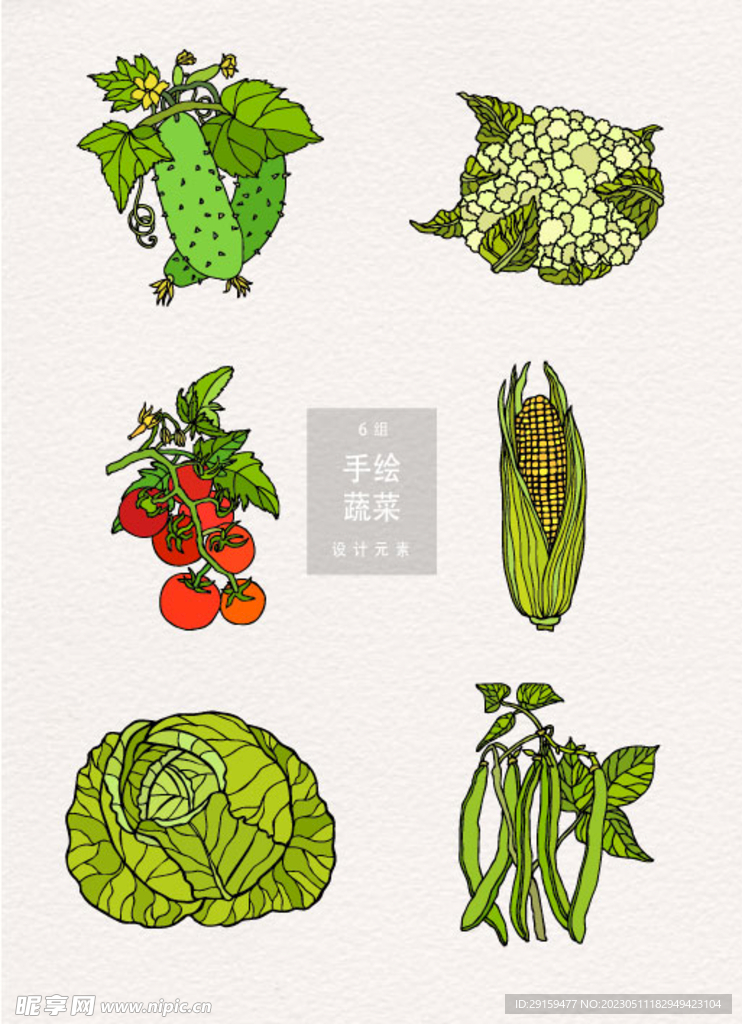 手绘蔬菜 