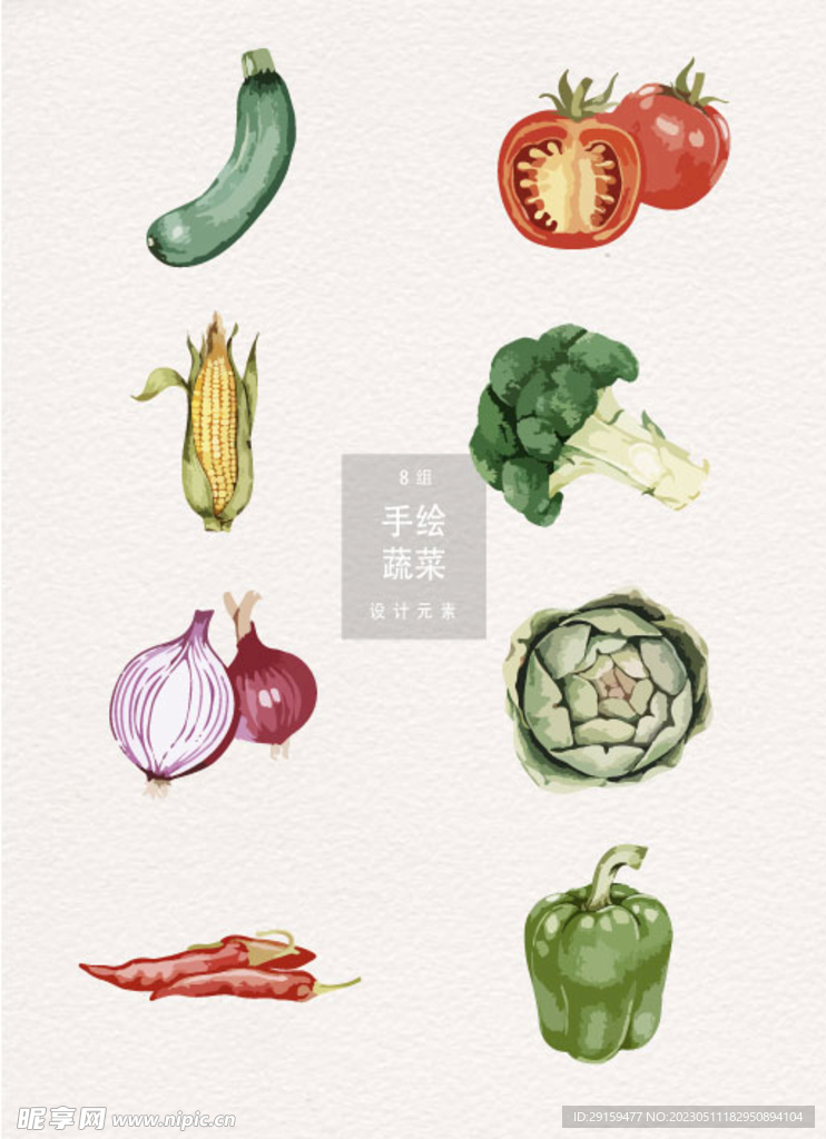 手绘蔬菜