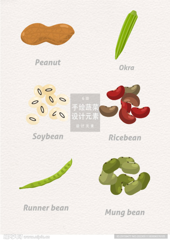 手绘蔬菜 