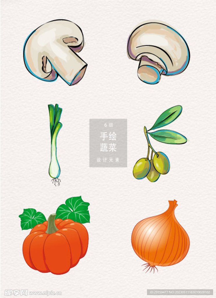 手绘蔬菜 