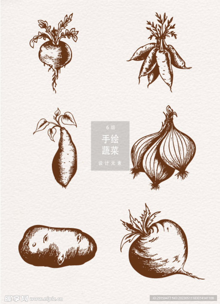 手绘蔬菜