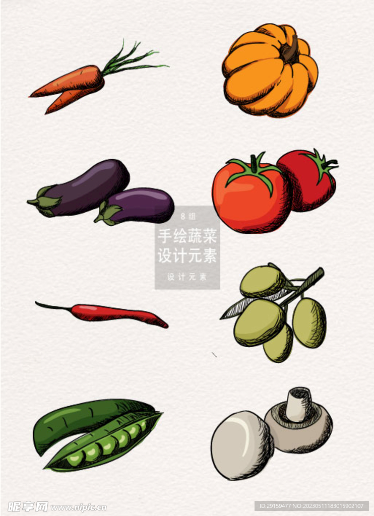手绘蔬菜 