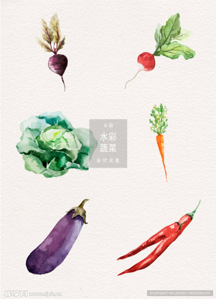 茄子萝卜