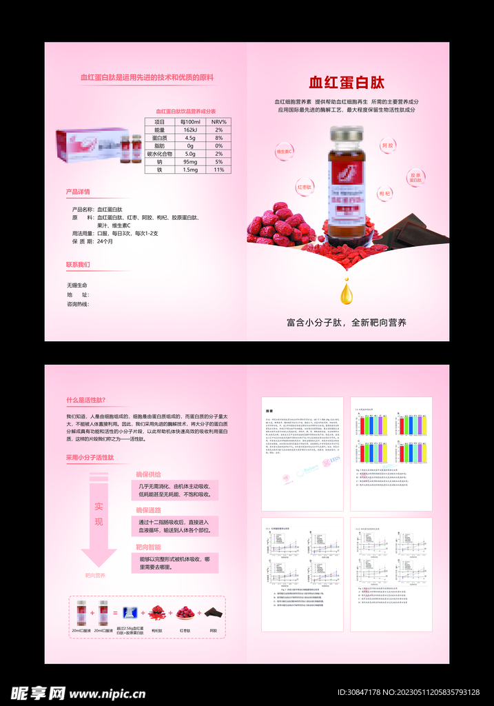 蛋白肽