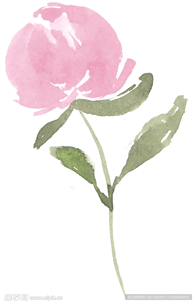花png
