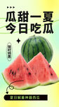 夏季西瓜