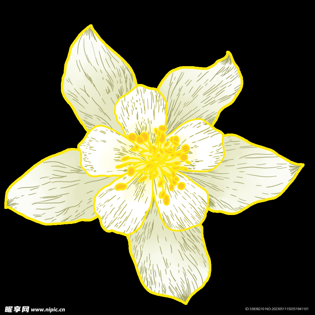  栀子花