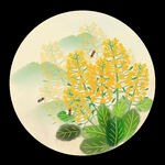 油菜花