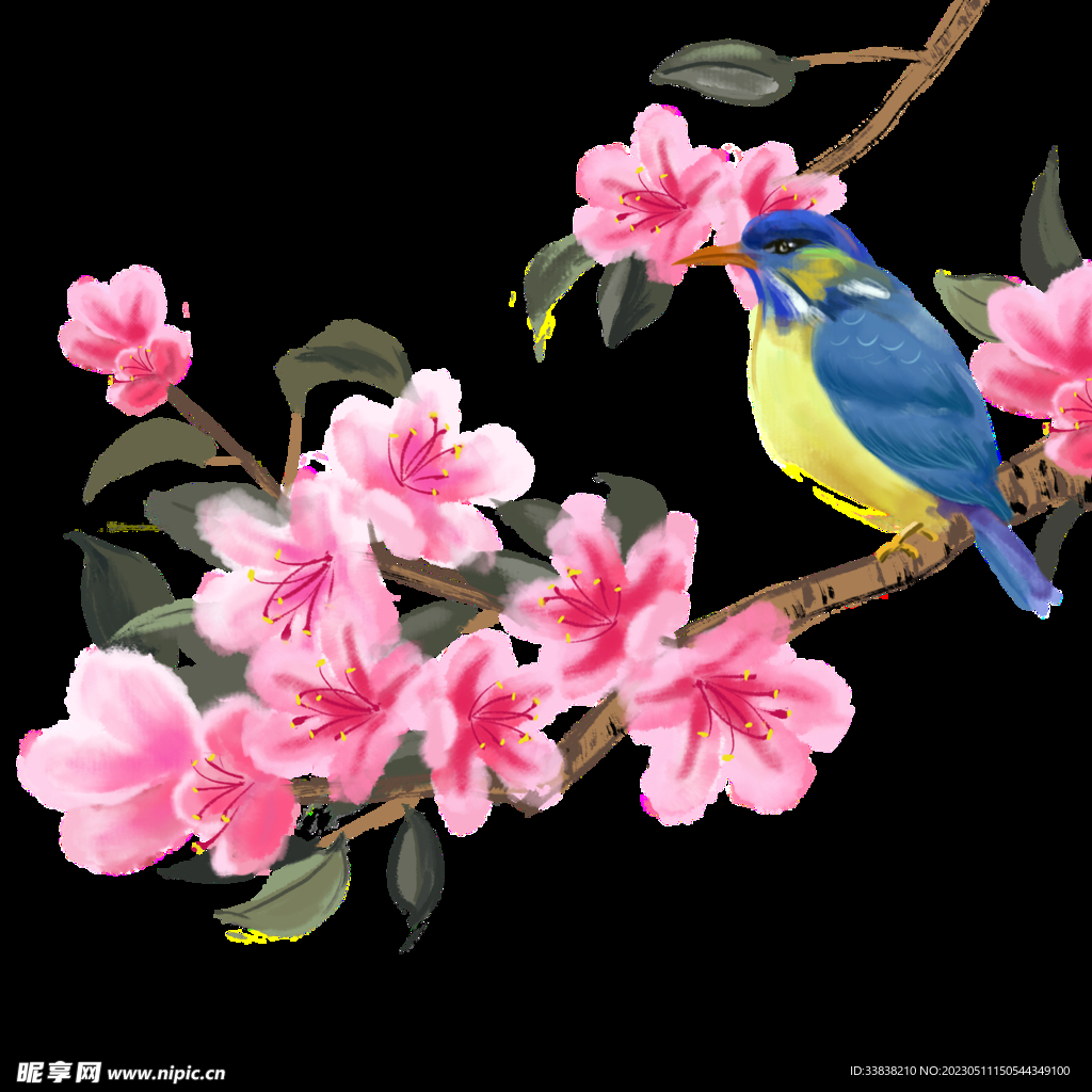 杜鹃花