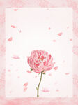 花卉