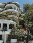 白色的建筑